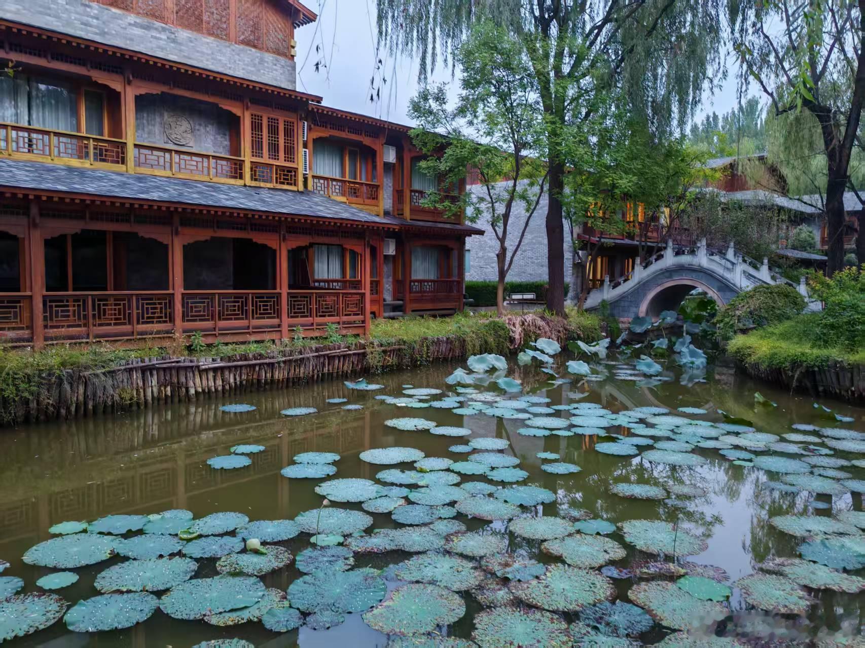 傍晚三个人一起去逛公园，一边走一边聊，好久没有这么轻松愉快地散步了。江哥走在前面