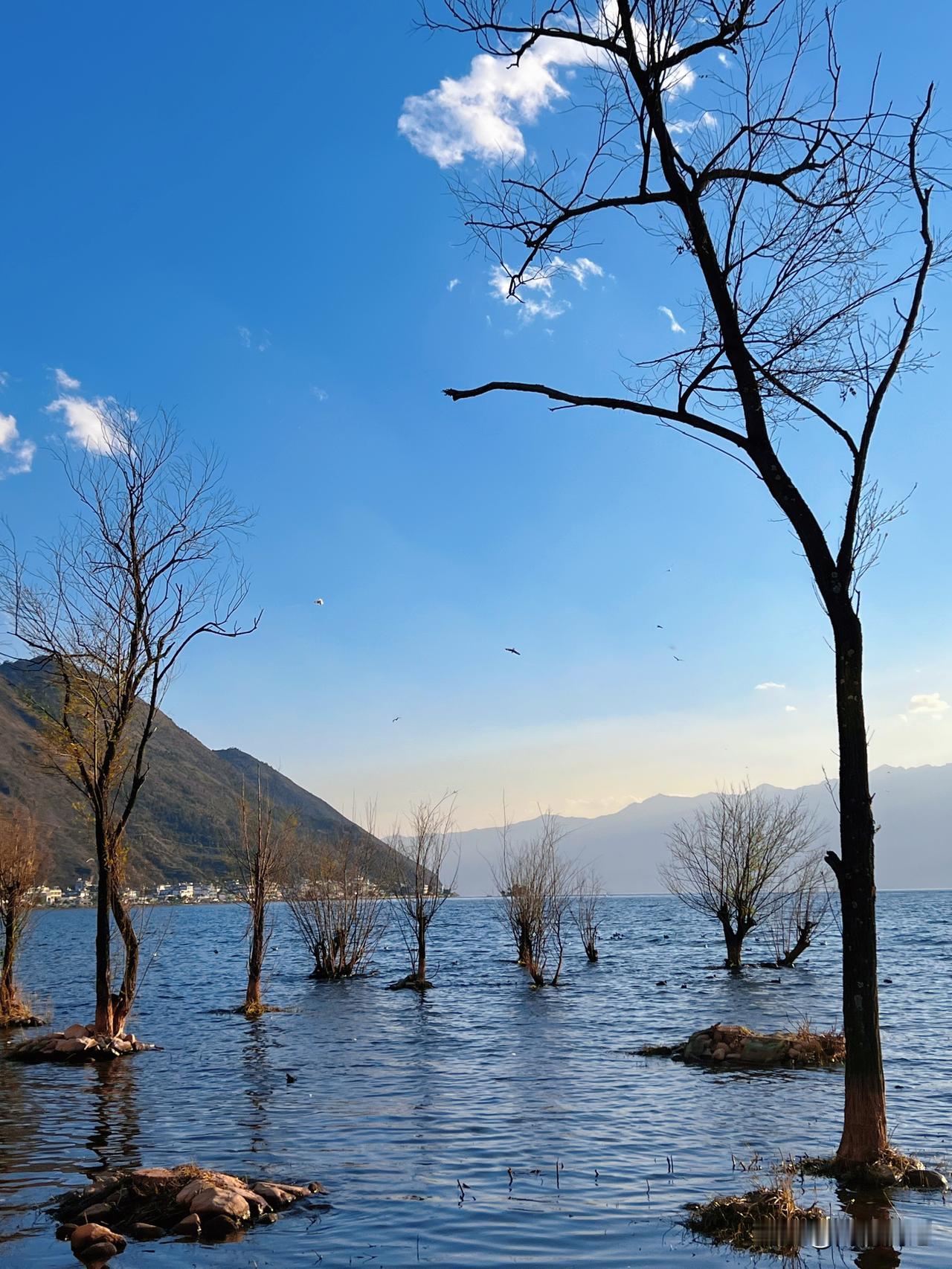 最近老听人念叨：“哎呀现在的年味儿越来越淡了，没意思。”

说实话，以前我也是这