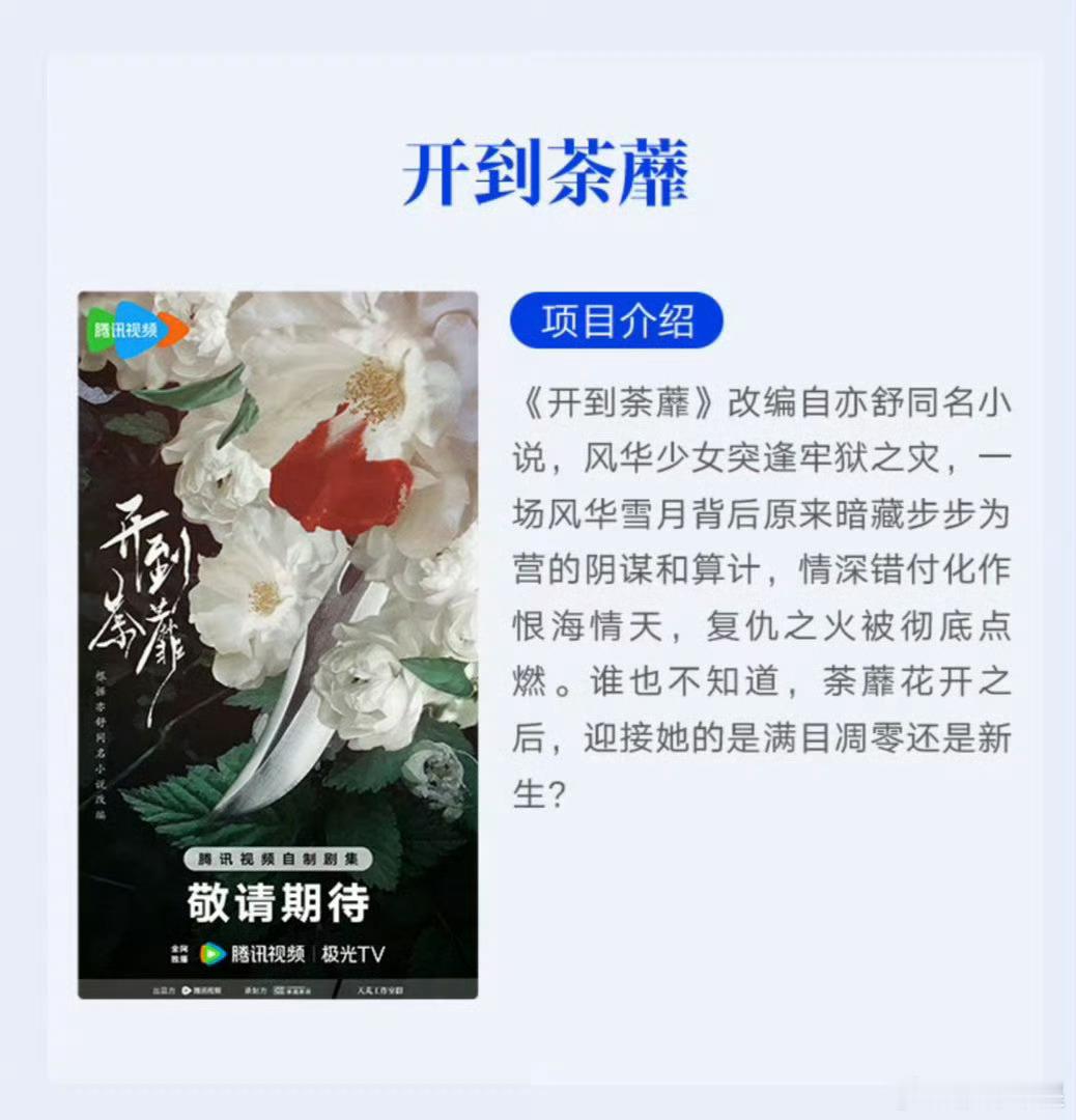 白鹿王韵娜 “开到荼蘼花事了” 