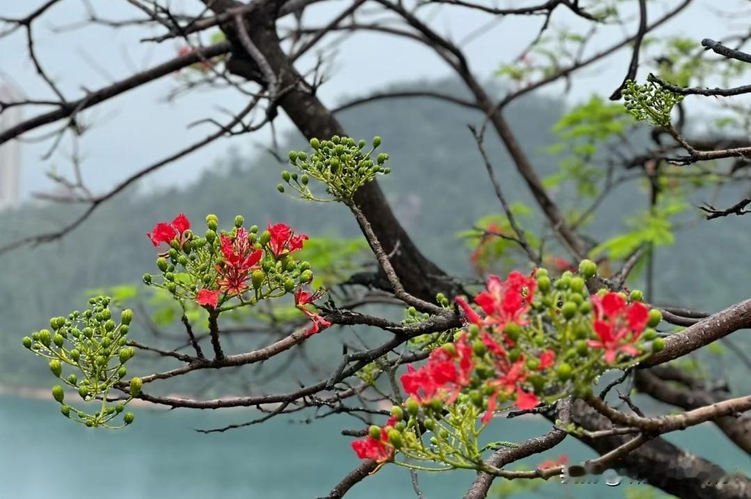 [锦鲤到来]城中村的故事：

每个地方都有城中村，但是我一直没没有搬走，城中村的