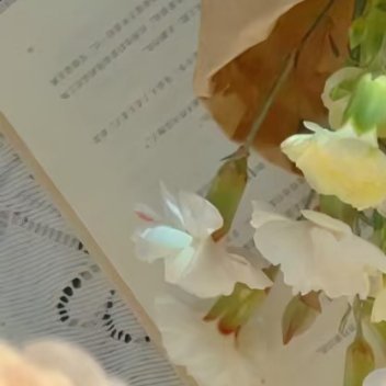 0000善良从来不是一时的冲动，而是长久不变的本心。哪怕只是一句宽慰、一次退让，