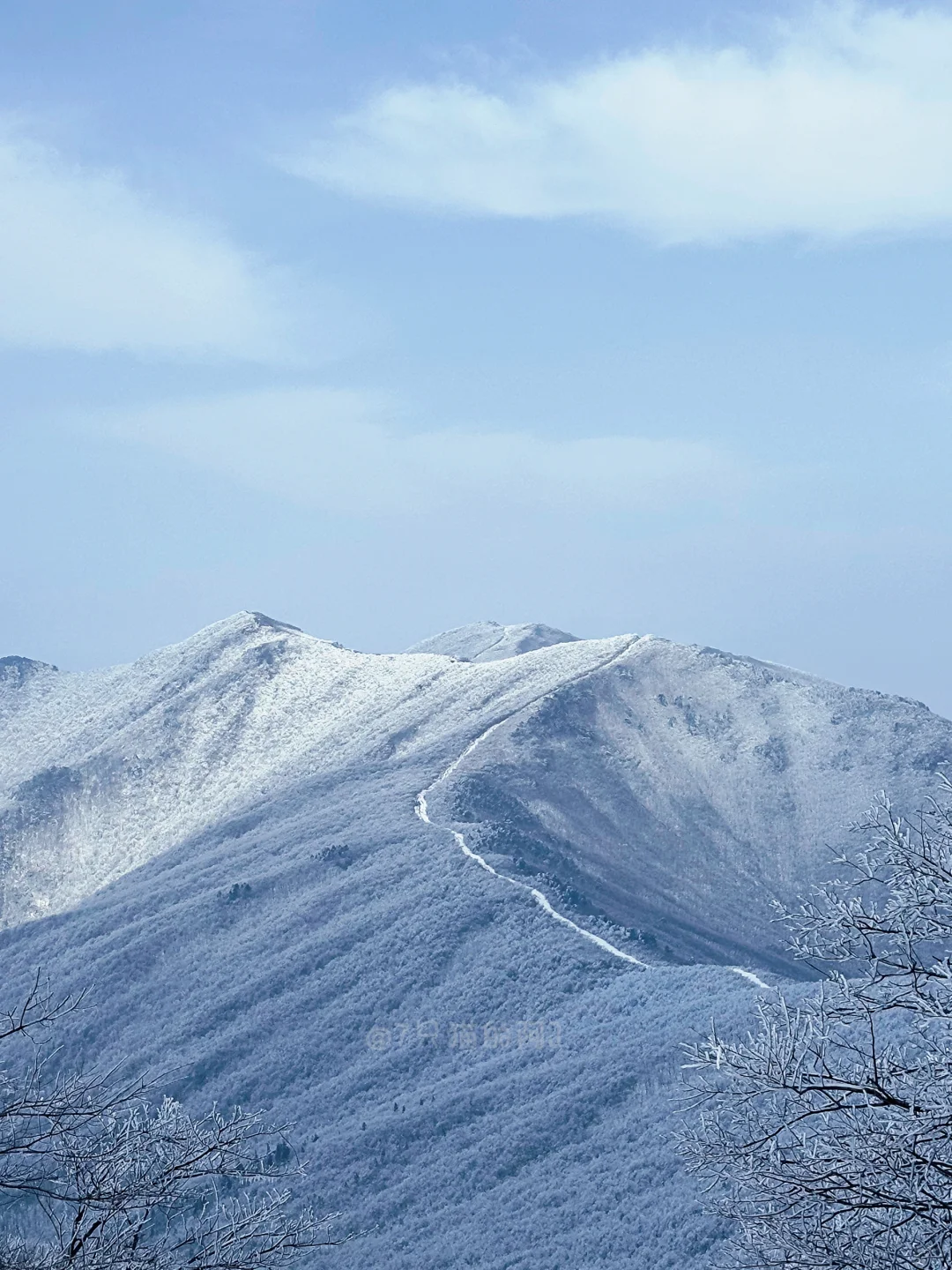 听说杭州下雪了？这样的雪景江浙沪哪里能看？