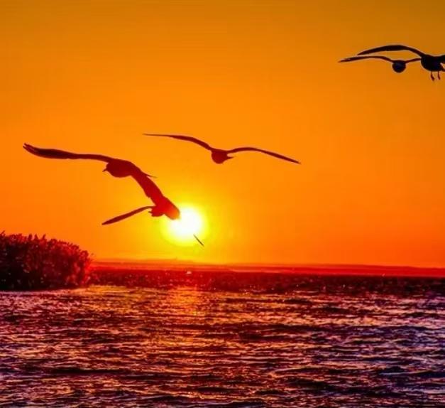 旭日東昇新一天，
憧憬未來皆平安。