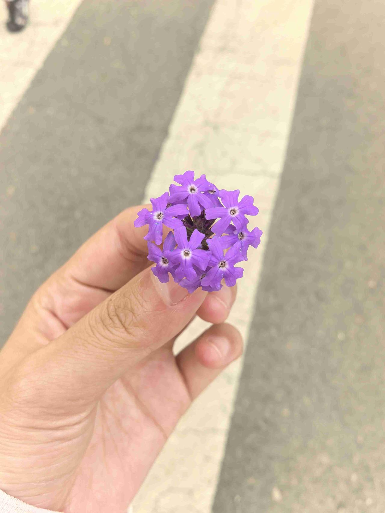 我的今日状态：😁轻松愉快
我这里的天气：☀️晴天