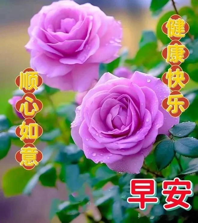 一声问候，一句祝福；
秋日安康，幸福美满；
顺心顺意！开心每天！
[赞][赞][