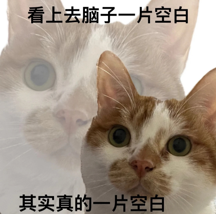 我一般不会和让我不爽的人计较，一是我有限的生命不能浪费在无聊的人身上，二是我确实