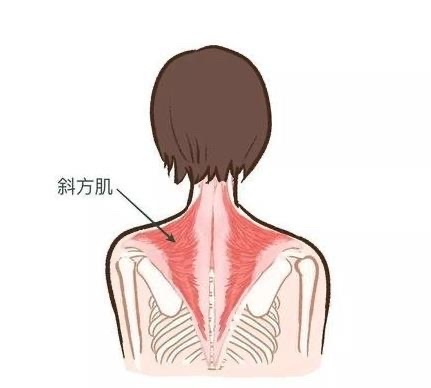 我本来以为我不会在接按摩仪的广了，因为你去我微博搜一下就可以看到，我发过很多按摩