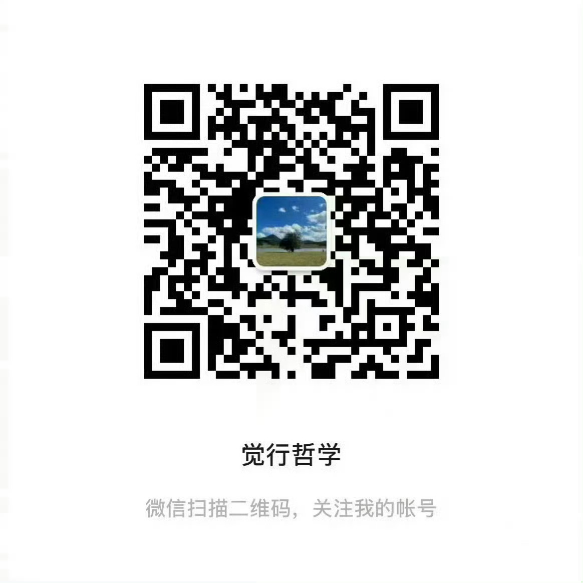一套非常适合用来落地实践的哲学体系，《觉行哲学》微信公众号启航，欢迎大家关注。 
