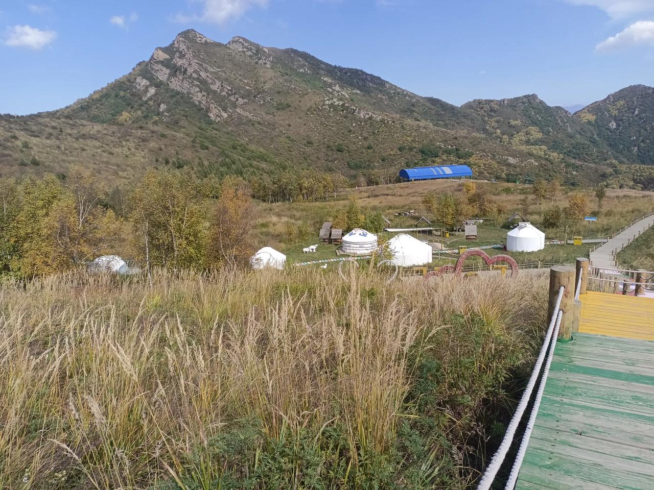 冬日生活打卡季冷