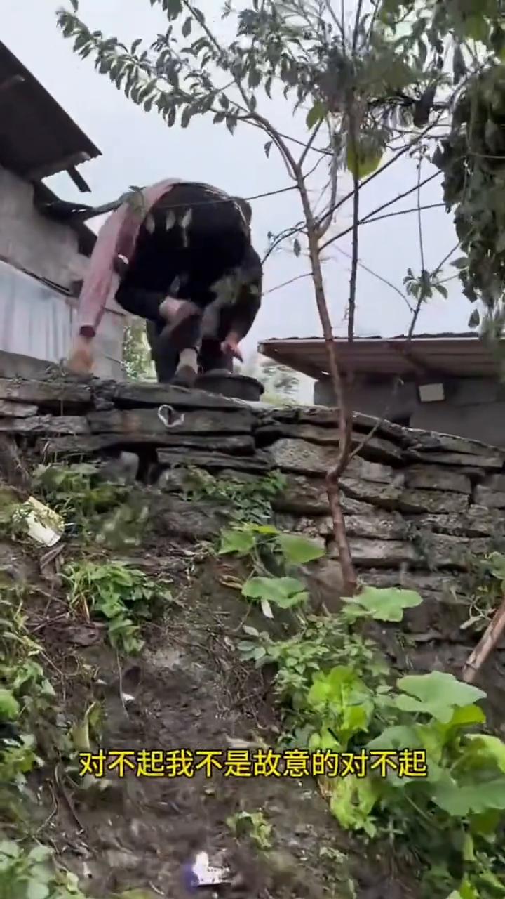 对不起，我不是故意的。对不起。我不是故意的。站到。