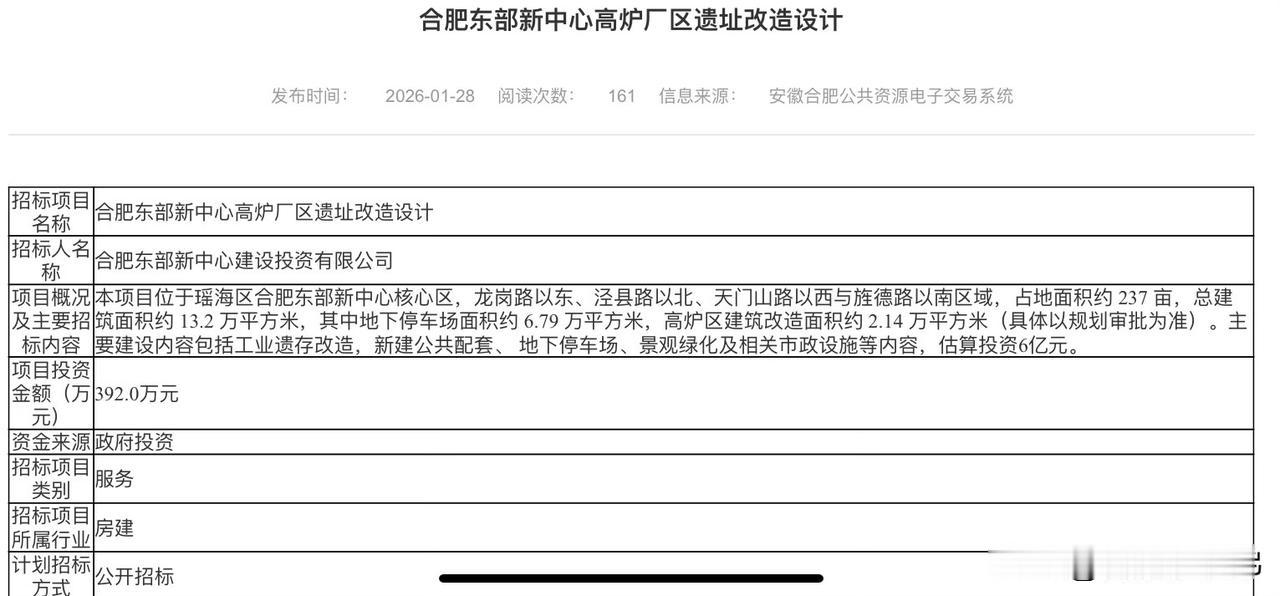 冬日生活打卡季投资6个小目标！合肥高炉数字公园终于要开建啦[烟花][烟花][烟花
