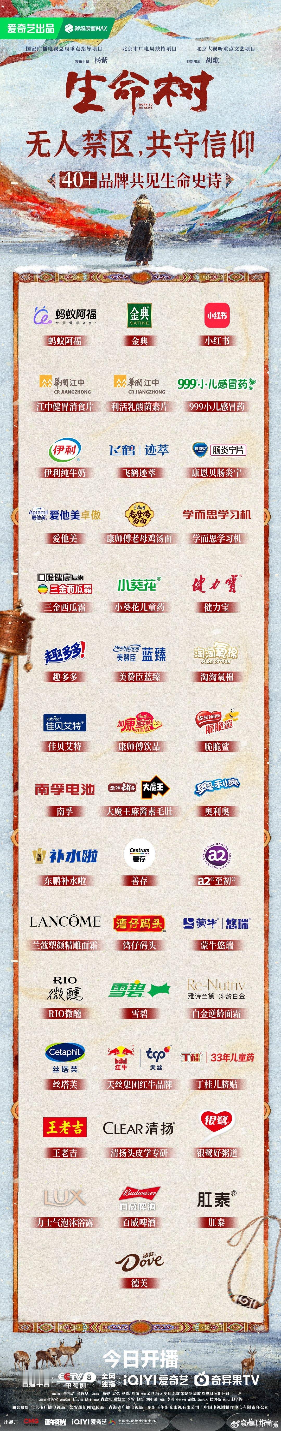 生命树工资不详胃口很强招商也很强！杨紫 胡歌《生命树》招商也太顶了吧？播前已有4