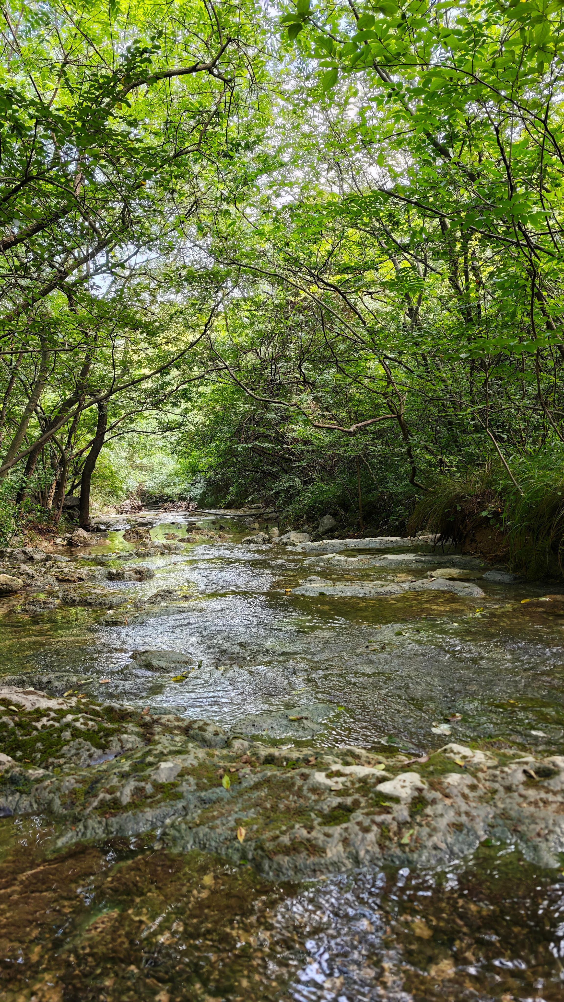 闲上山来看野水，忽于水底见青山。 