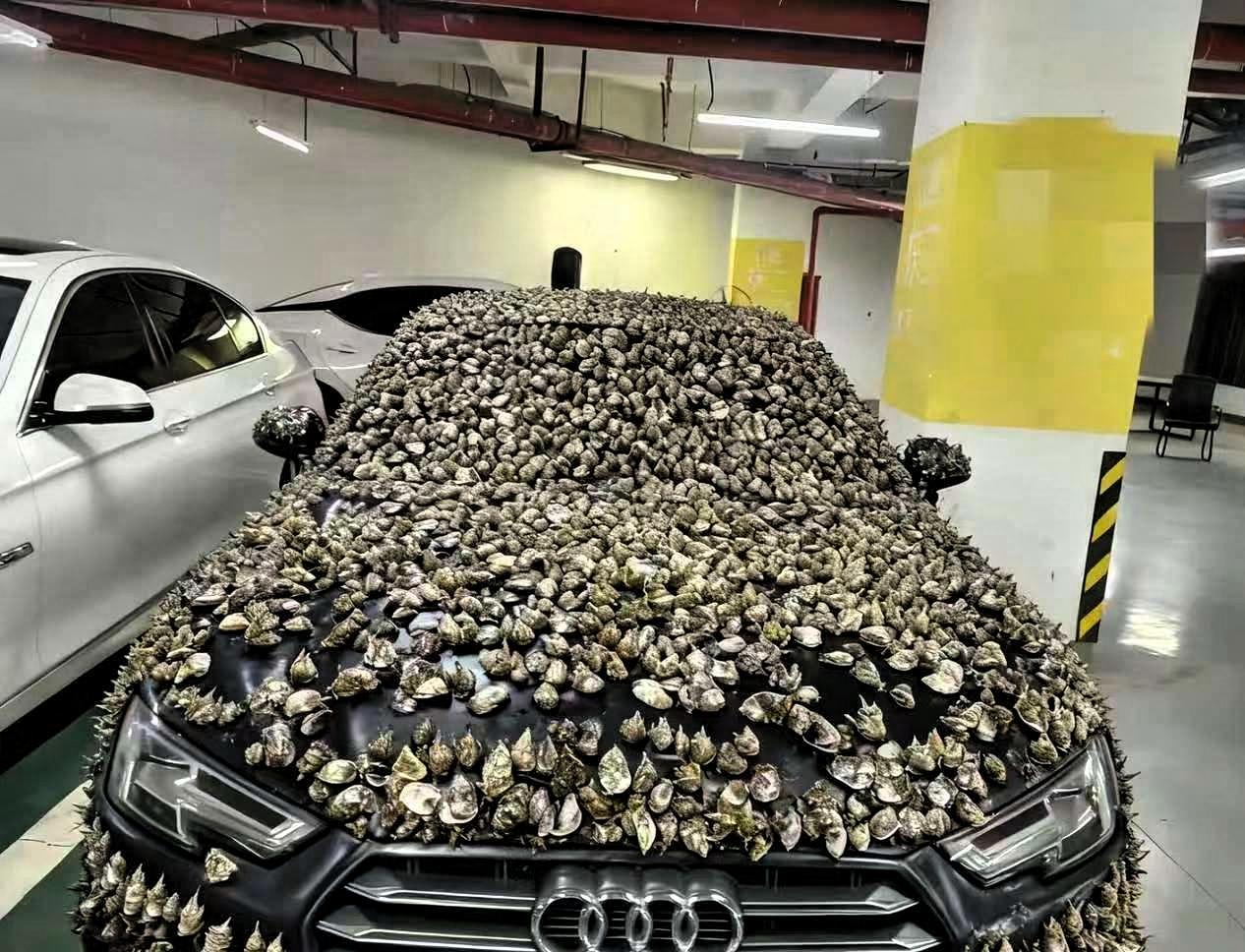 “一分钱不要，也得让你长记性！”业主车位被霸占10天，一怒之下做了这种事
 
业