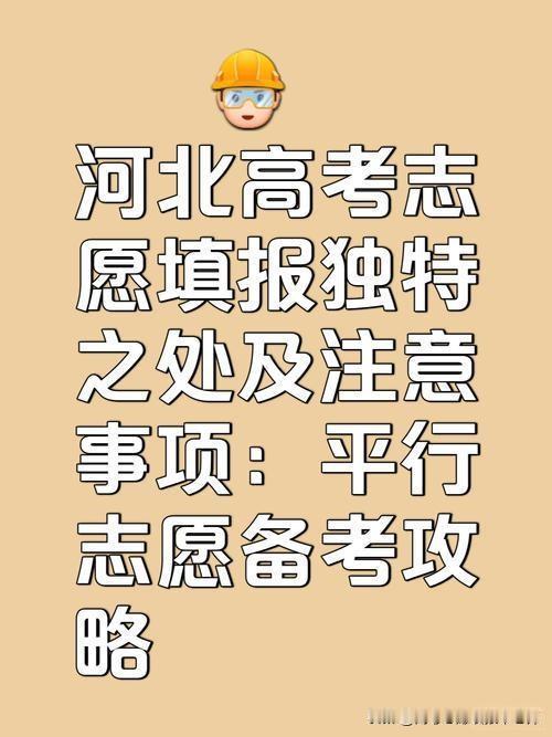 填报志愿要避免哪些问题? 报96个志愿也可能没学上？河北高三家长注意：这8个坑踩