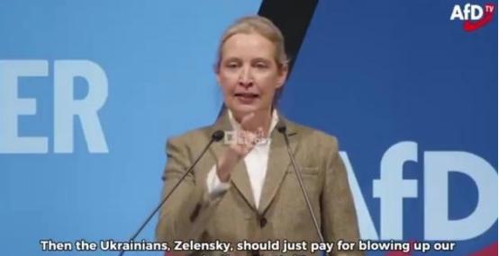 1月25日，那位以敢说敢言的德国选择党女大佬爱丽丝·魏德尔，当着全德媒体的面，指