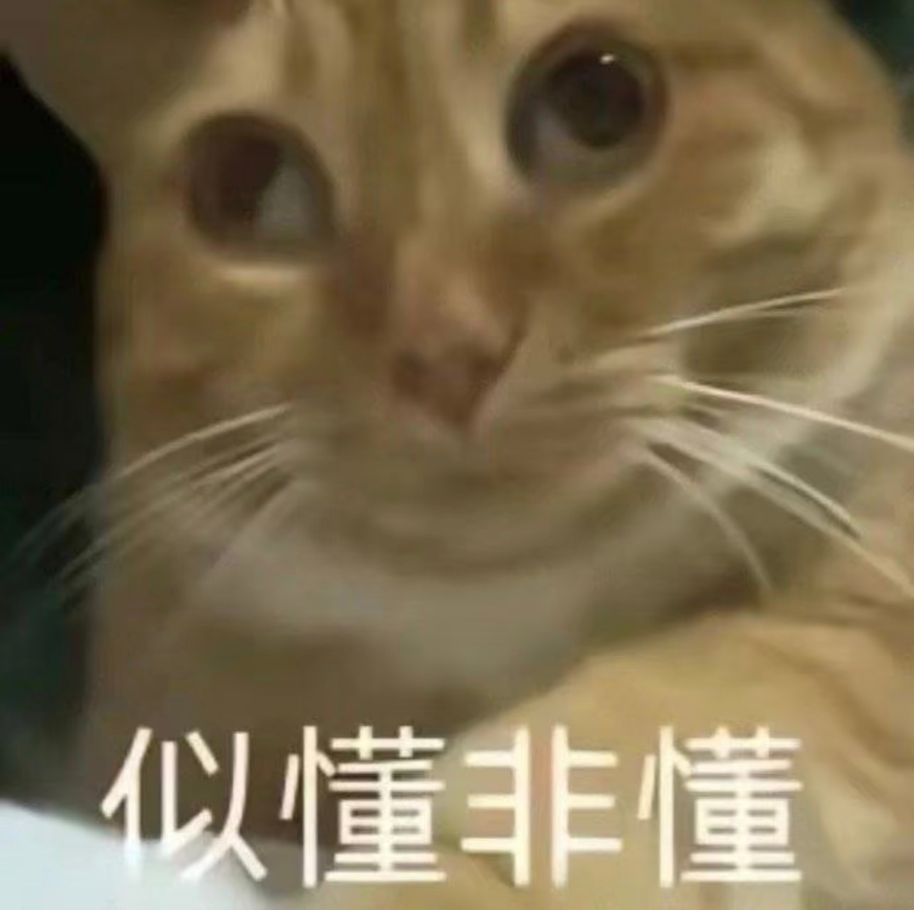 早上特地定了个闹钟撸了个泰式大浓妆过去拍驾照🪪上的照片。幻想拿到一张大杀四方的
