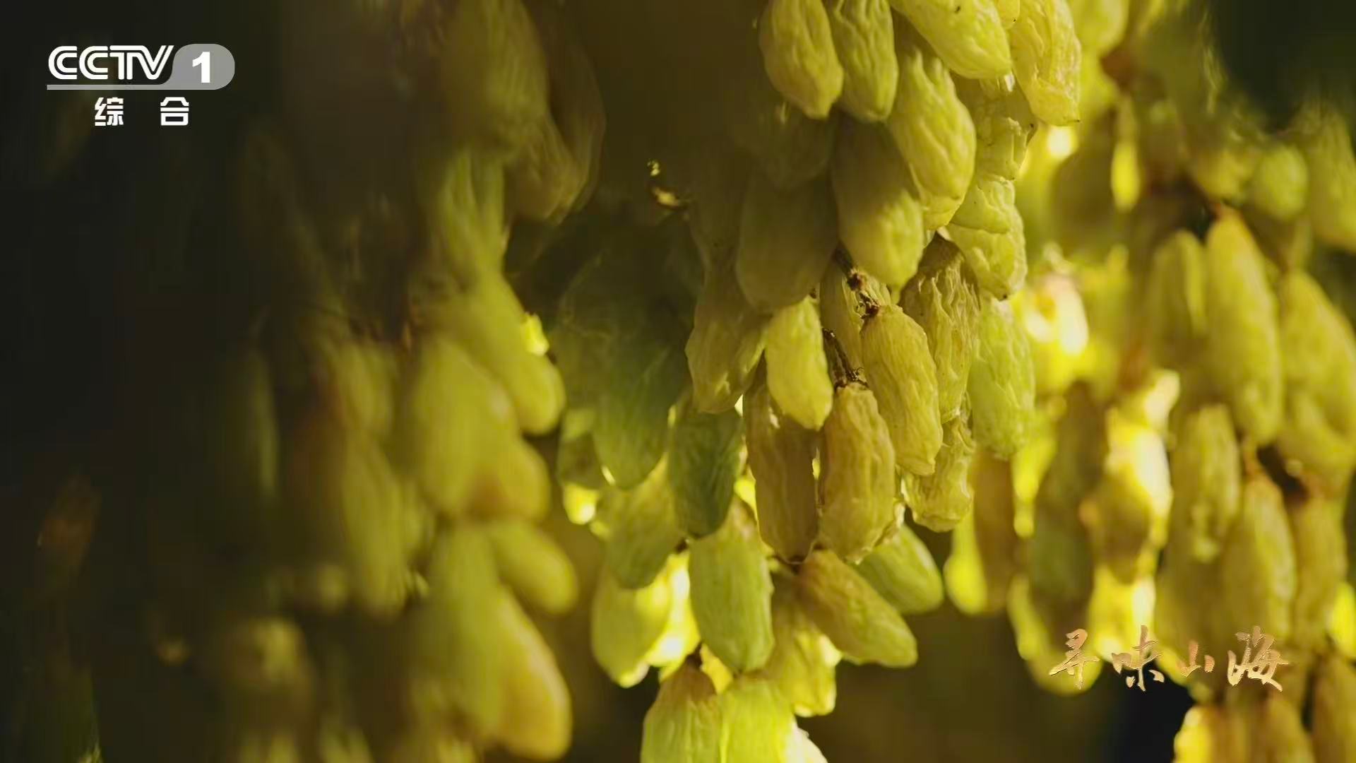 10颗葡萄干里9颗来自吐鲁番吐鲁番有500余种葡萄干 吐鲁番不仅是葡萄之乡，更是