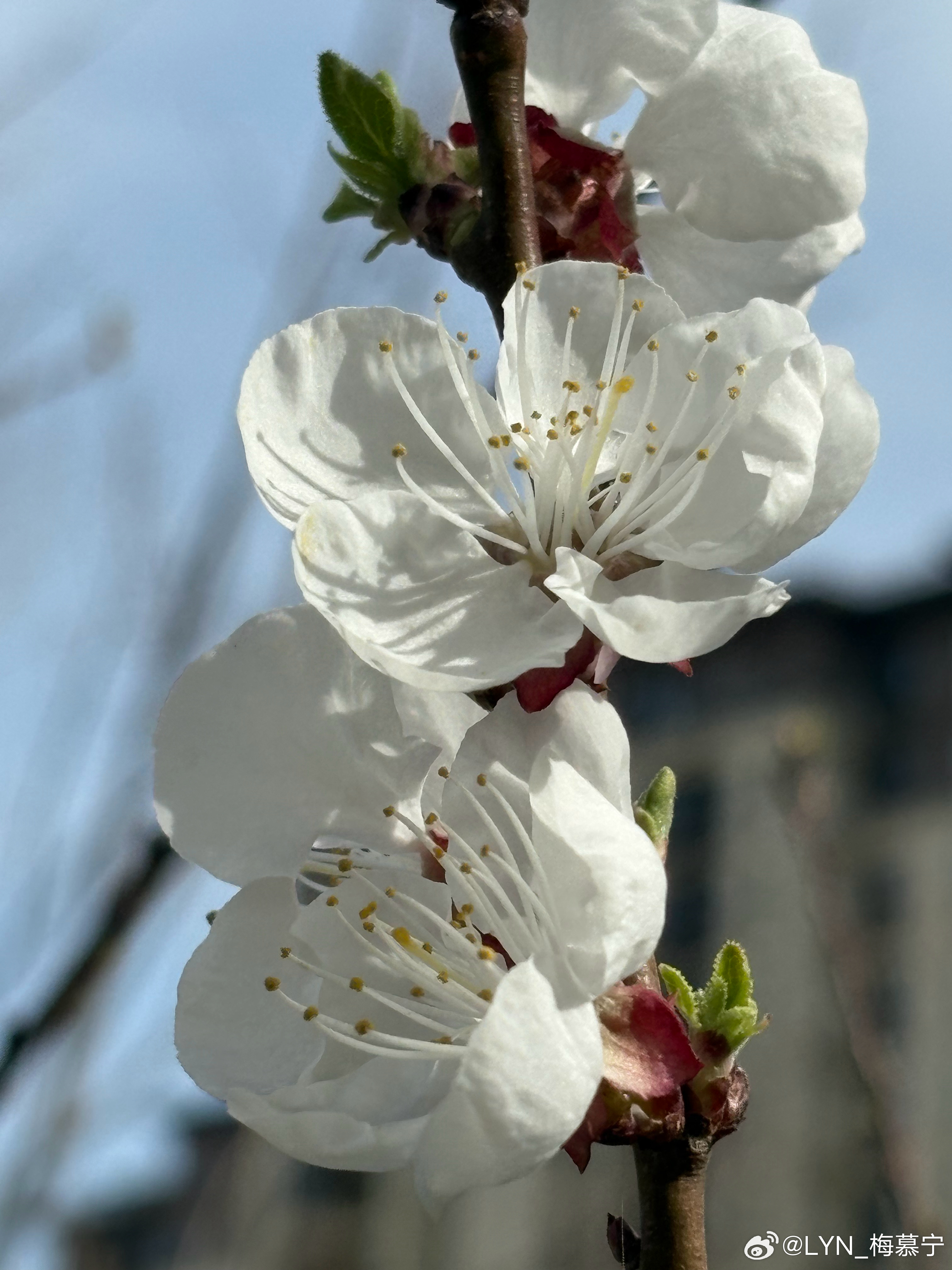 生活手记 春天的气息渐浓，突然想吃火锅啦！那还等什么，想吃就吃，过瘾