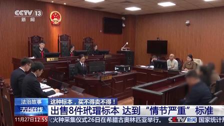 别拿爱好踩红线！购买野生动物标本可能一不小心就蹲大牢！

不少人都迷恋动物标本，
