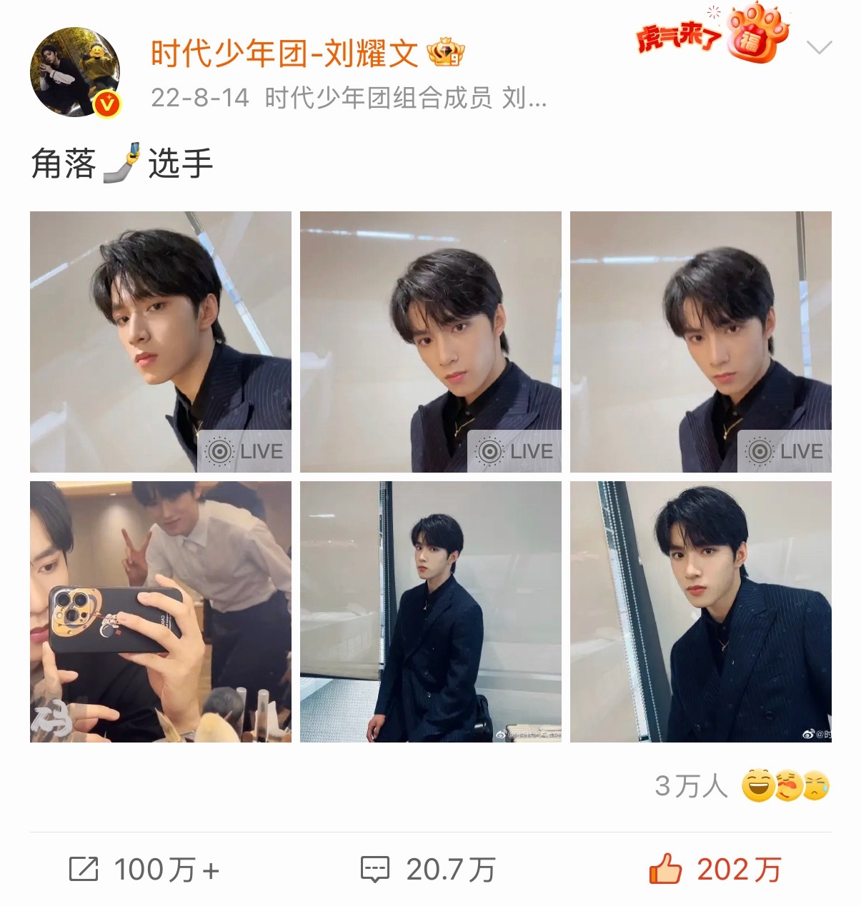 我福猪了 依旧角落选手 