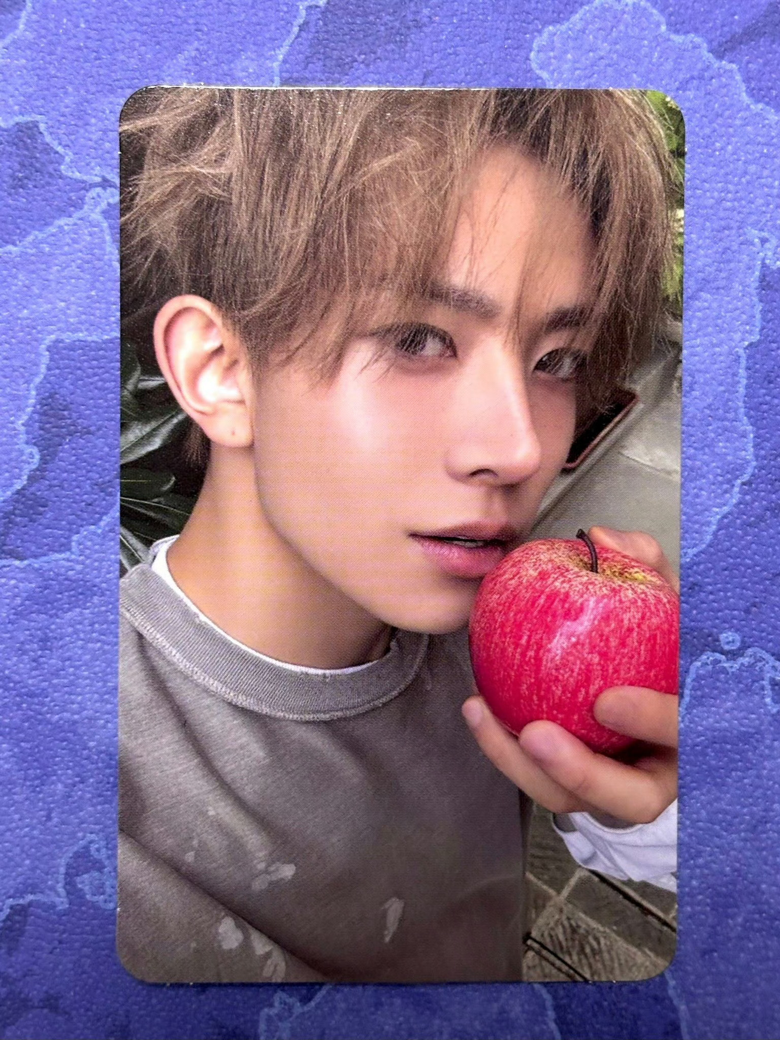 我要成为这个苹果 