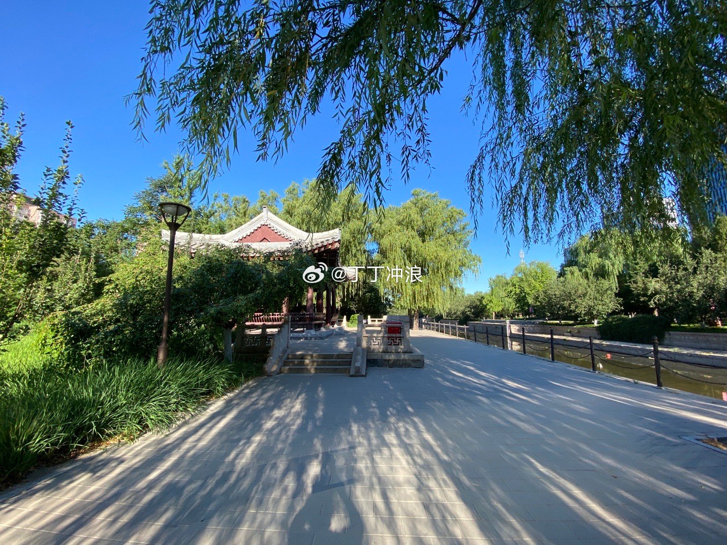 盛夏时节的北京元大都遗址公园  摄影​​​