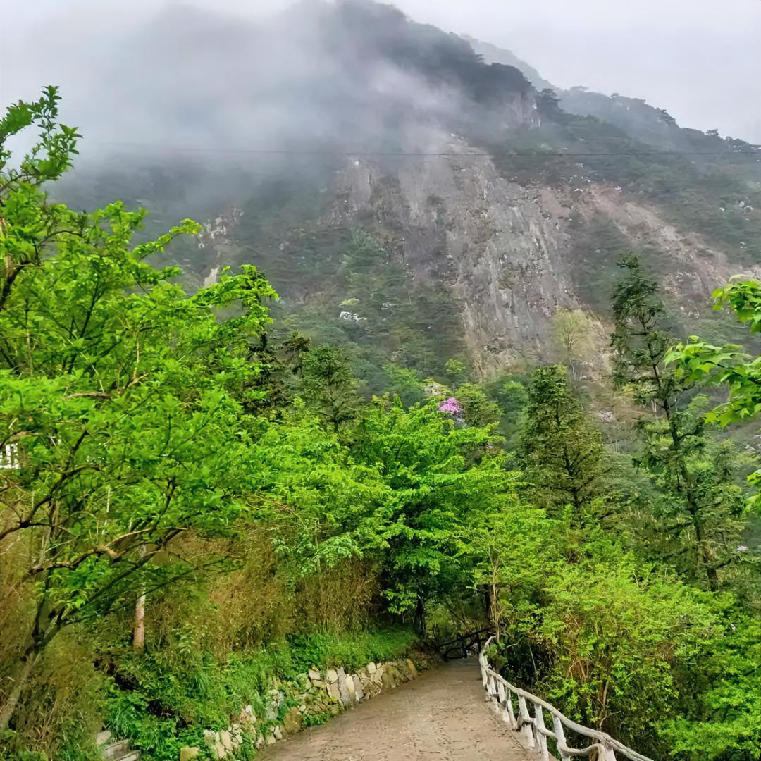 大山深处还有这样景色宜人的地方，赚到了，不是景区，而是山洞储存香蕉的地方，你们说