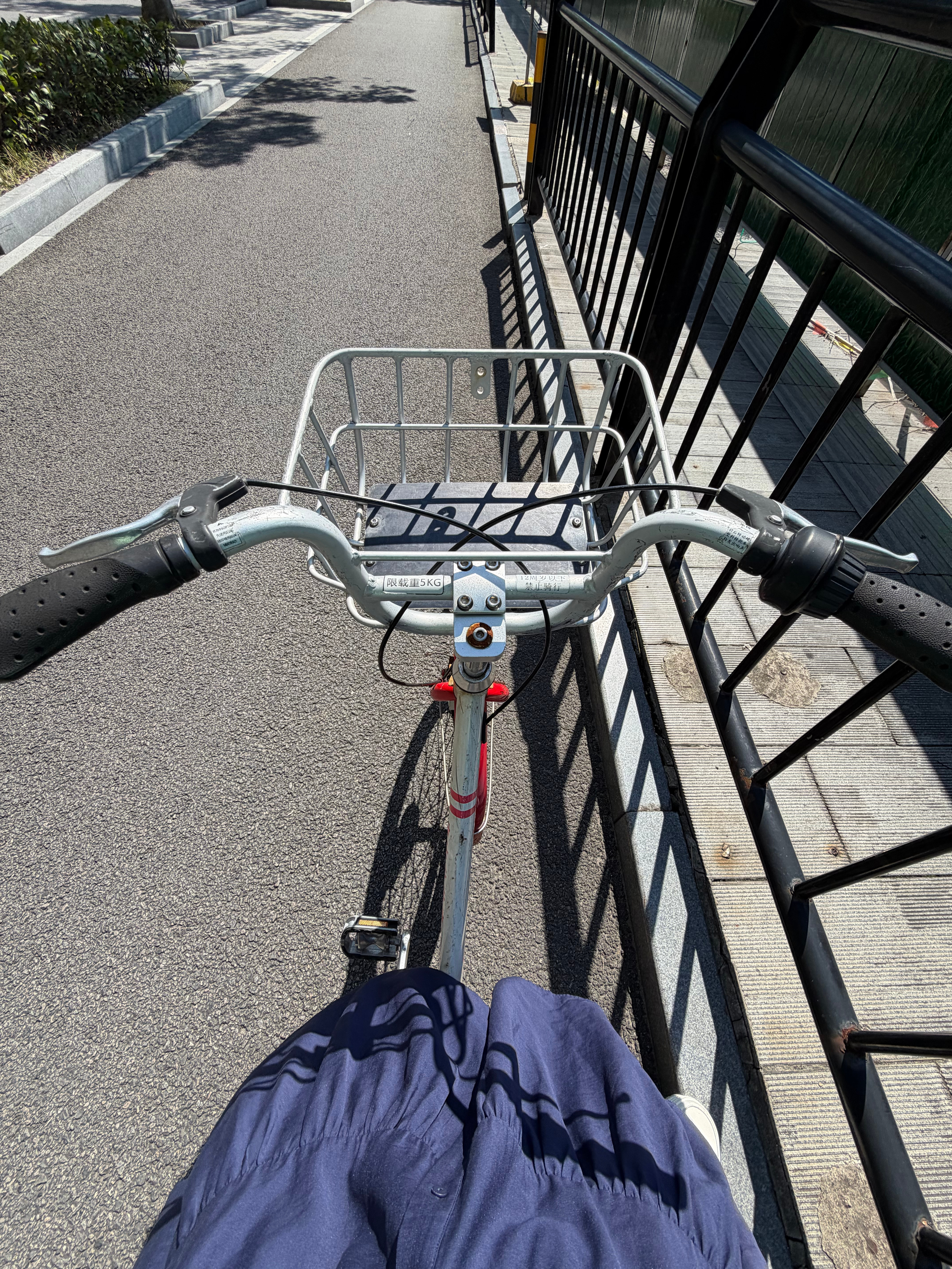 实现城市漫游的代价是屁股硌的疼骑自行车 ​​​