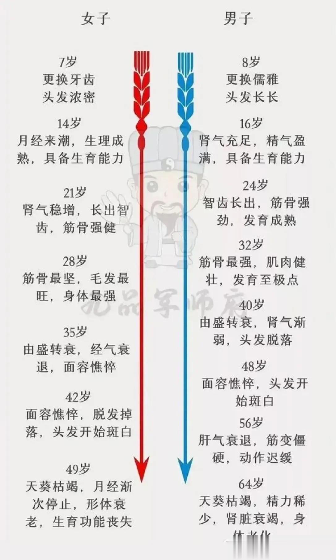 女人比男人衰老的快的原因原来在这里。

女人14岁成熟，男生要到16岁。

女人