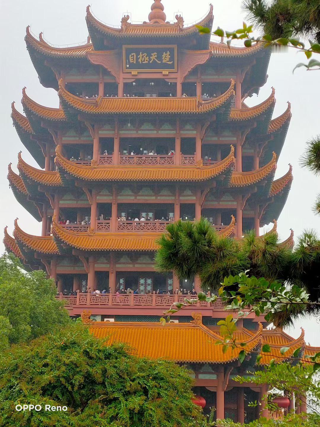 生活不易，咱都在努力奔跑，为了生活，每天起早贪黑，风里来雨里去，再大的困难都不怕