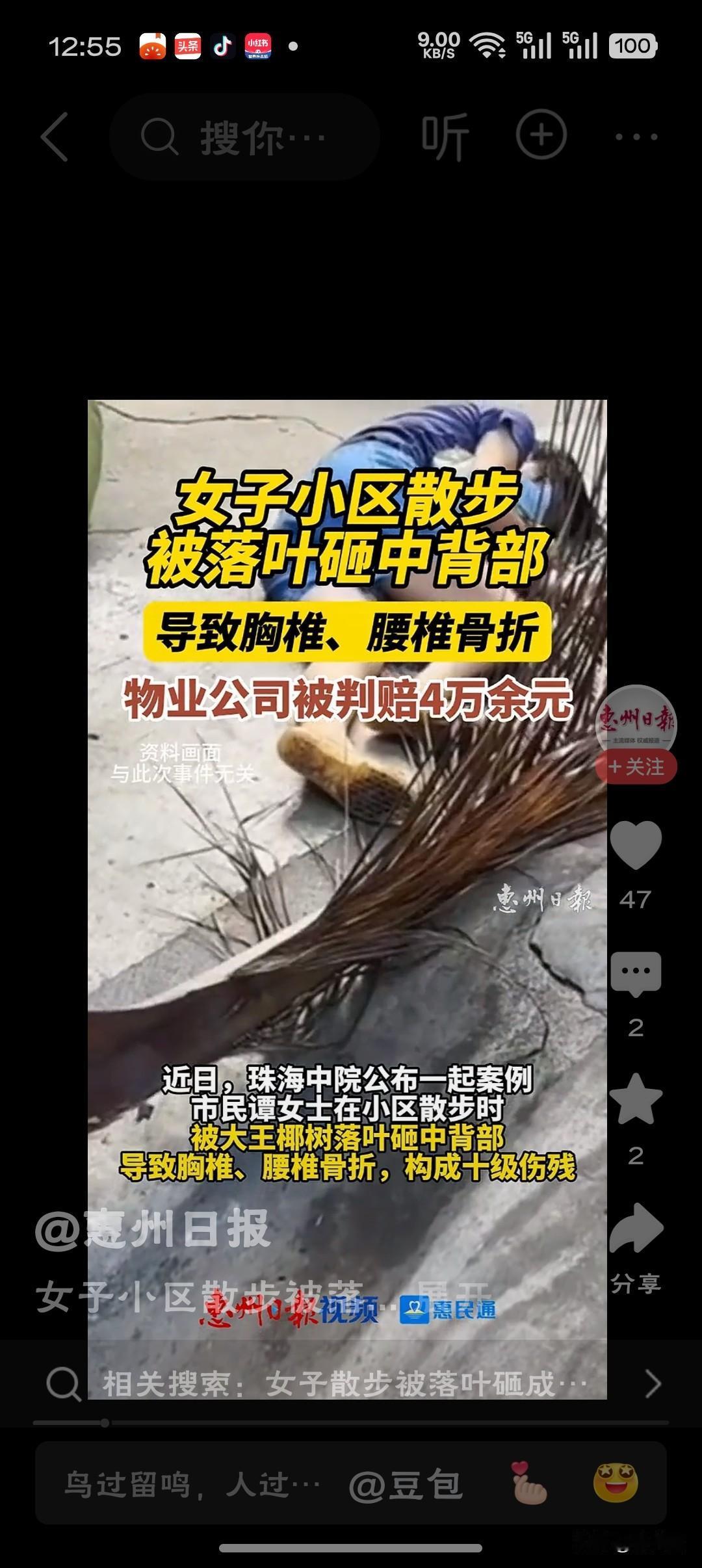 女子小区散步被落叶砸成十级伤残“天降横祸绝非‘天灾’，若巡查排险不到位，物业必须