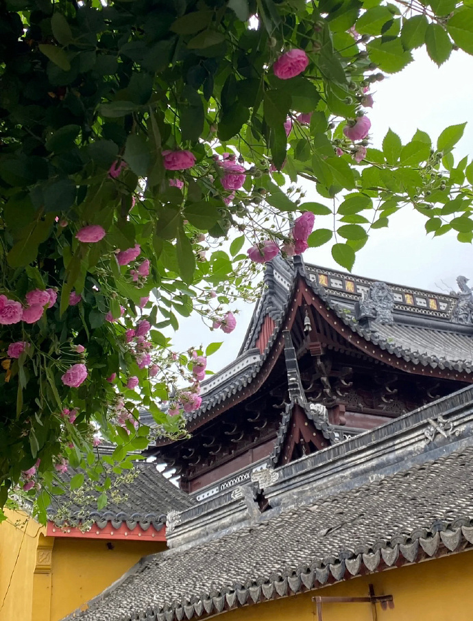 这辈子永远不要原谅一个消遣你感情的人  凭什么他需要你的时候你就要出现  不需要