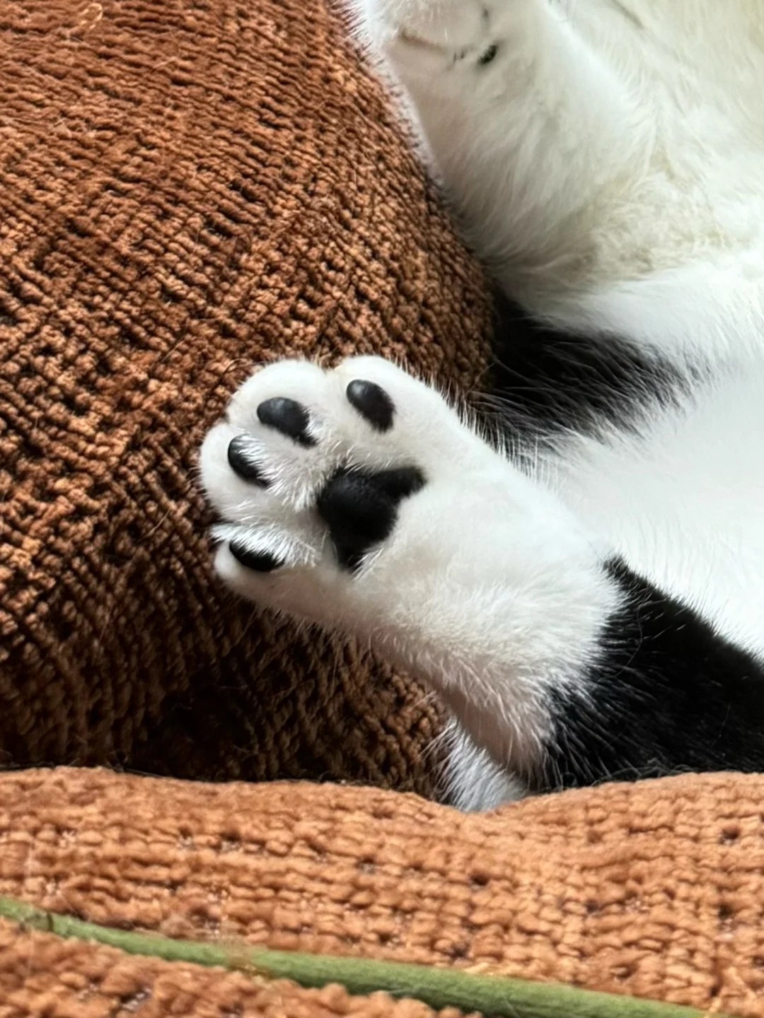 谁敢闻！！！