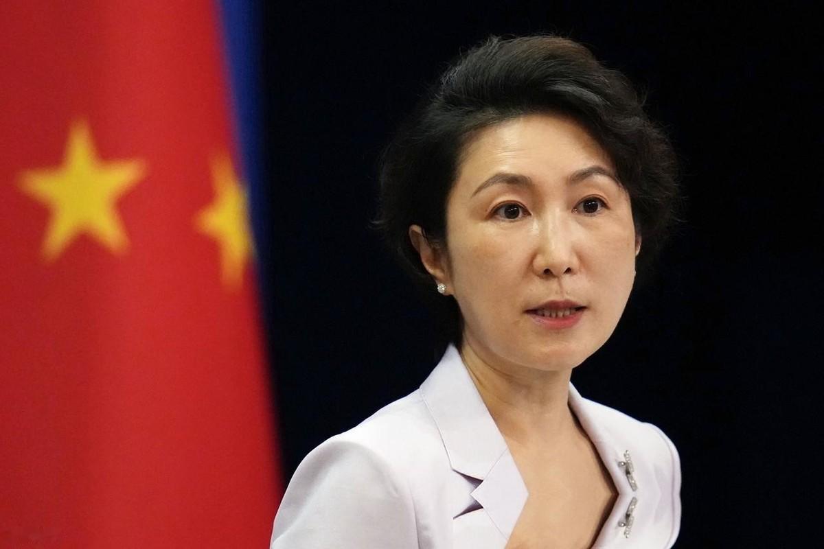 菲律宾这回算是把自讨没趣演绎到了极致。原本指望借着开会的势头，拉拢邻居们给自己站
