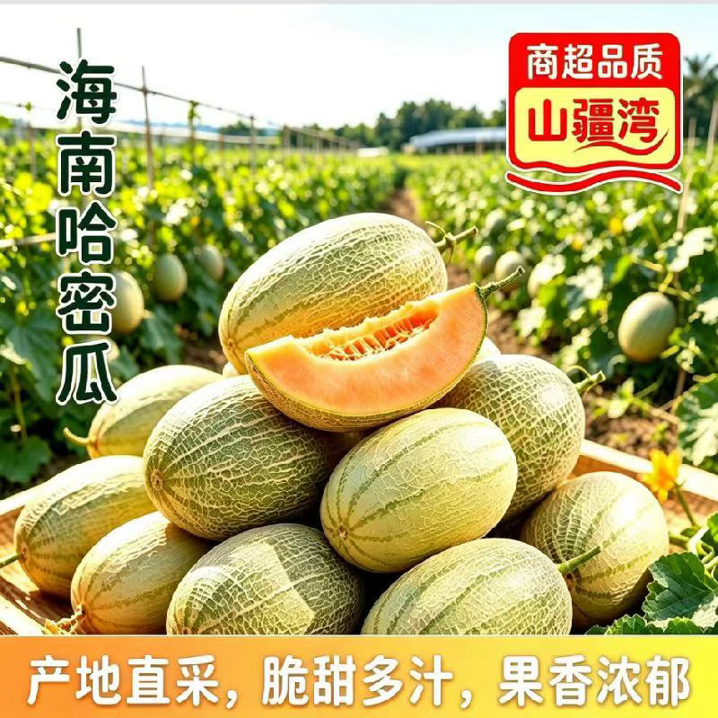 【TB到手价29.90】 山疆湾精品海南哈密瓜8.5斤净重网文瓜产地直采现发qc