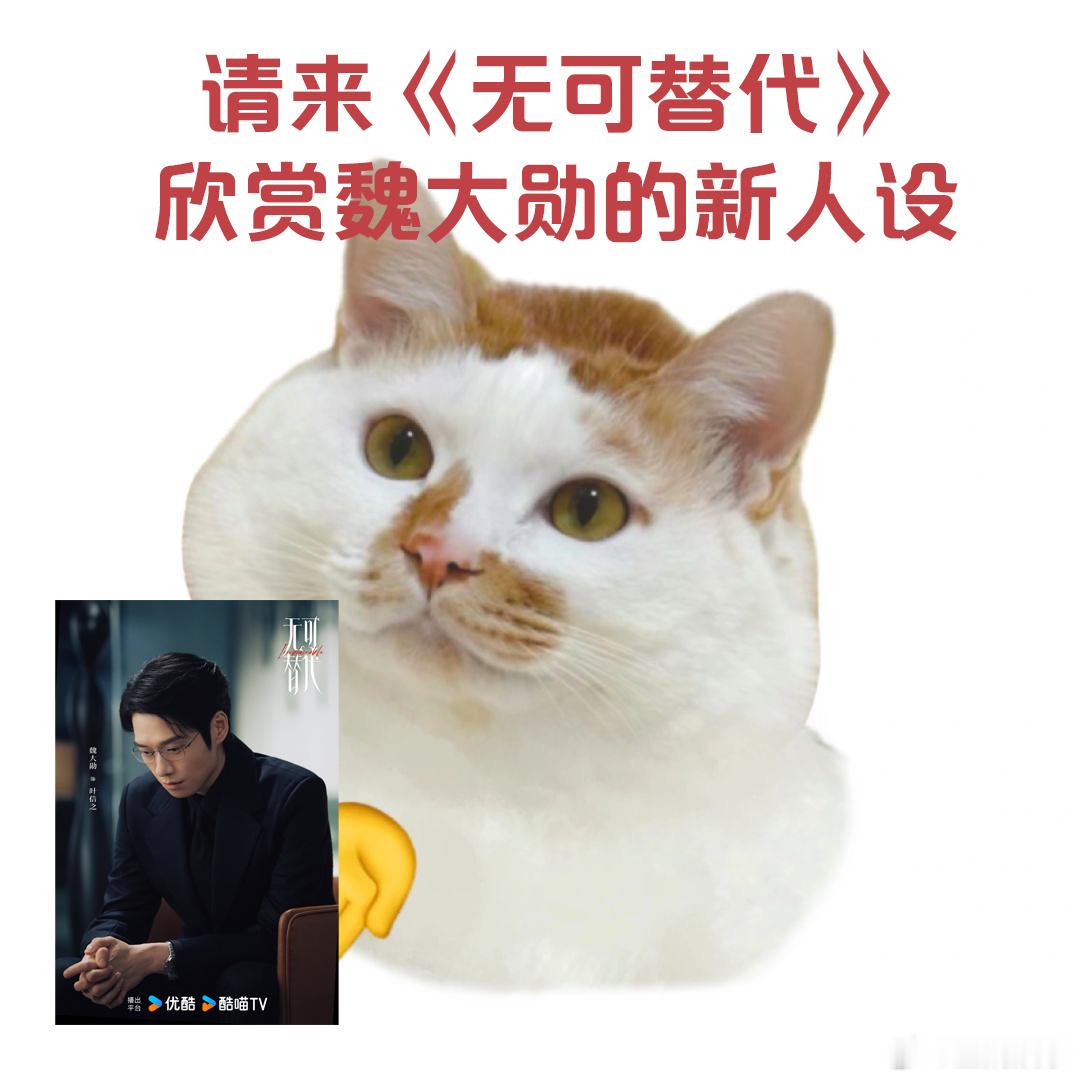 第一次见自己给自己祛魅的男主拒绝千篇一律的完美男主设定！叶信之亲手撕掉精英标签，
