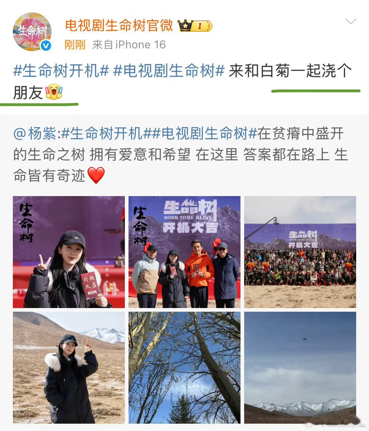 杨紫生命树开机新照，来和白菊一起浇个朋友！期待一棵小树扭一扭，期待白菊，拍摄顺利