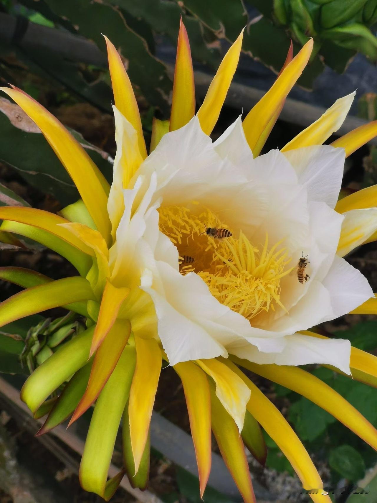 【小对联】
上：……？
下：让开。