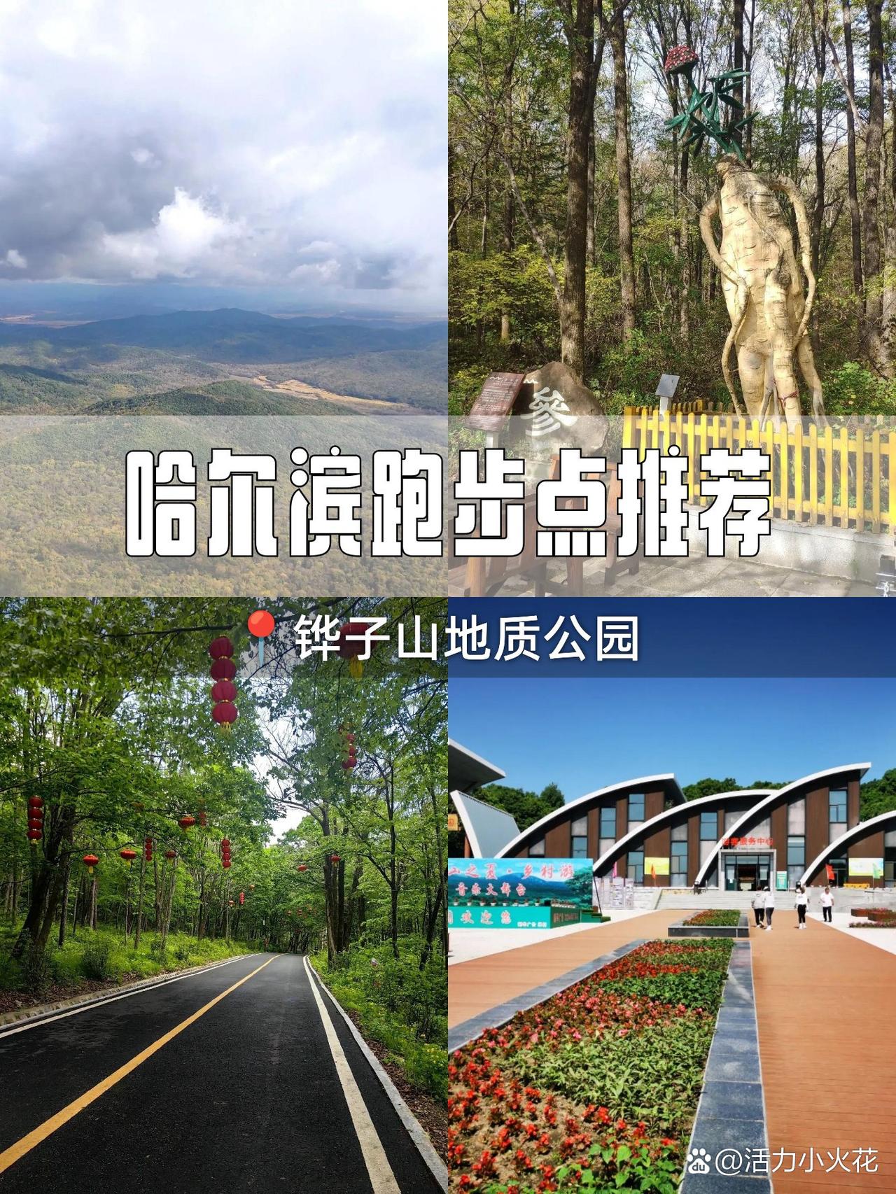 哈尔滨春日漫游指南｜铧子山地质公园全攻略

🌸在钢筋水泥的城市里，竟藏着这样的