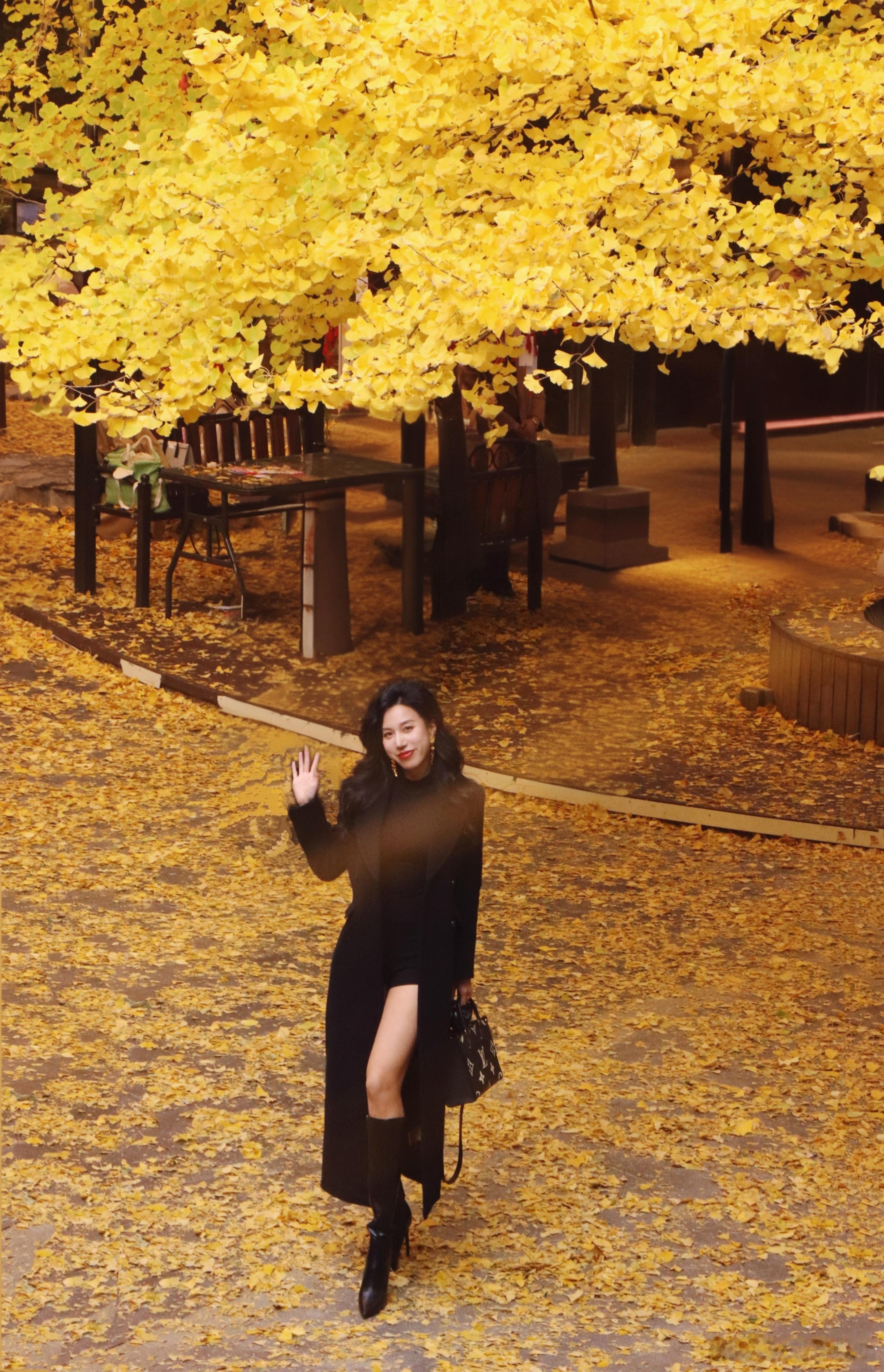 人群中，我独独望向你 