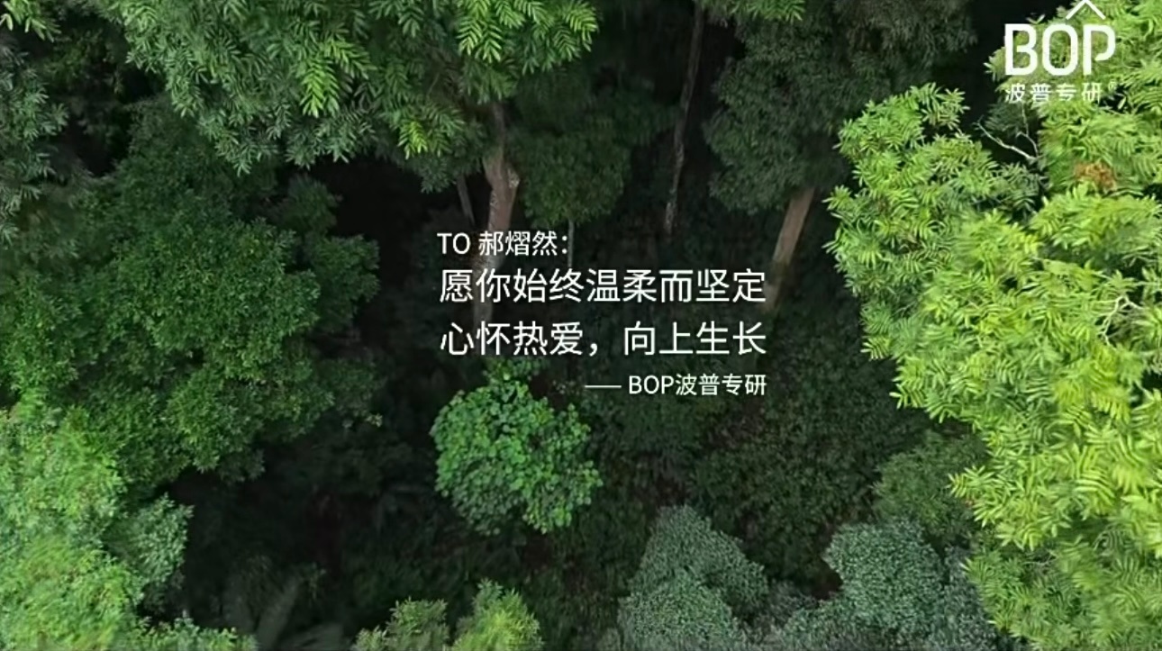 愿你始终温柔而坚定心怀热爱，向上生长