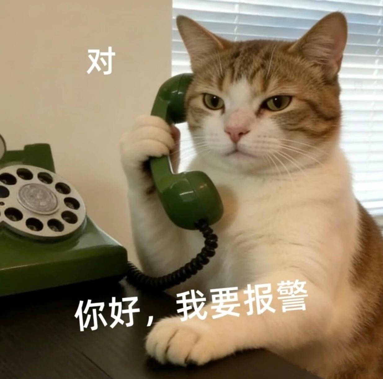 带20寸行李箱登机因轮子被判超标不是按重量吗，跟轮子大小有什么关系，谁规定的😲