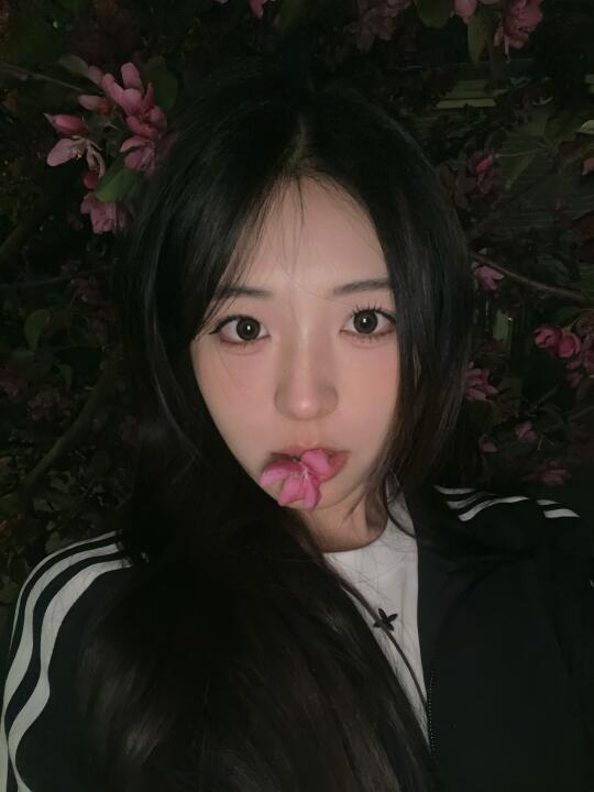 夜海棠这样拍