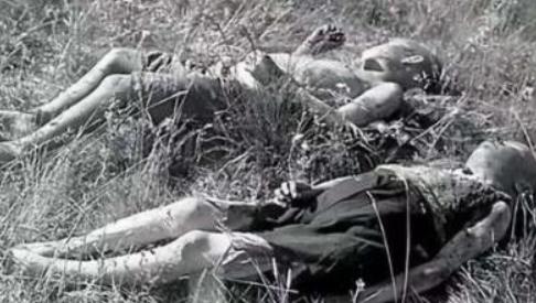 1941年，一群犹太居民被带到帕茹斯特森林，正当她们将要被处决时，立陶宛民兵成员