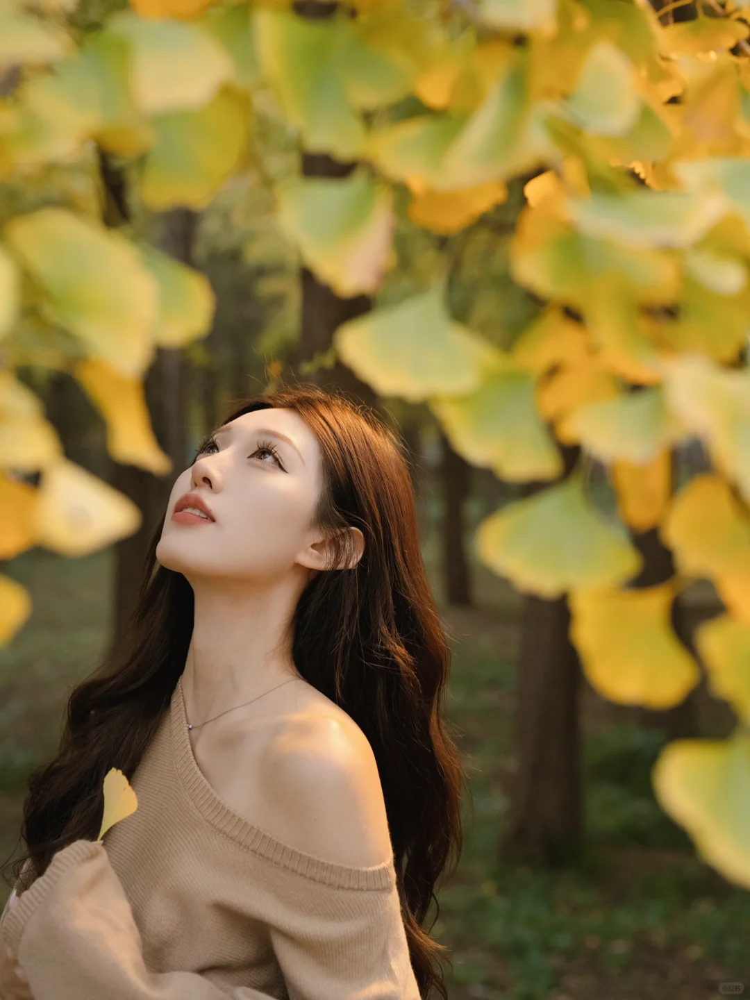 🍁⋆ ⟡ ☁️ 🪽｡ ˚🍂一些治颈椎照片