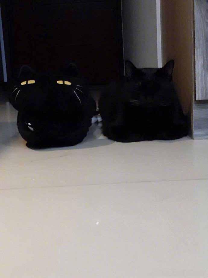 这拖鞋应该会穿错……