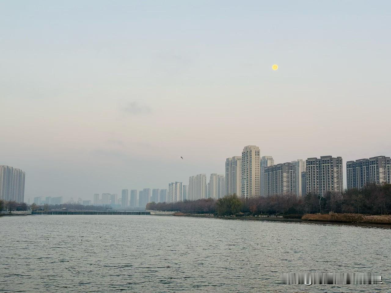 今天郑州这天气，简直是给咱开了个“阳光滤镜”！带着娃在湖边溜达，风都是暖乎乎的—