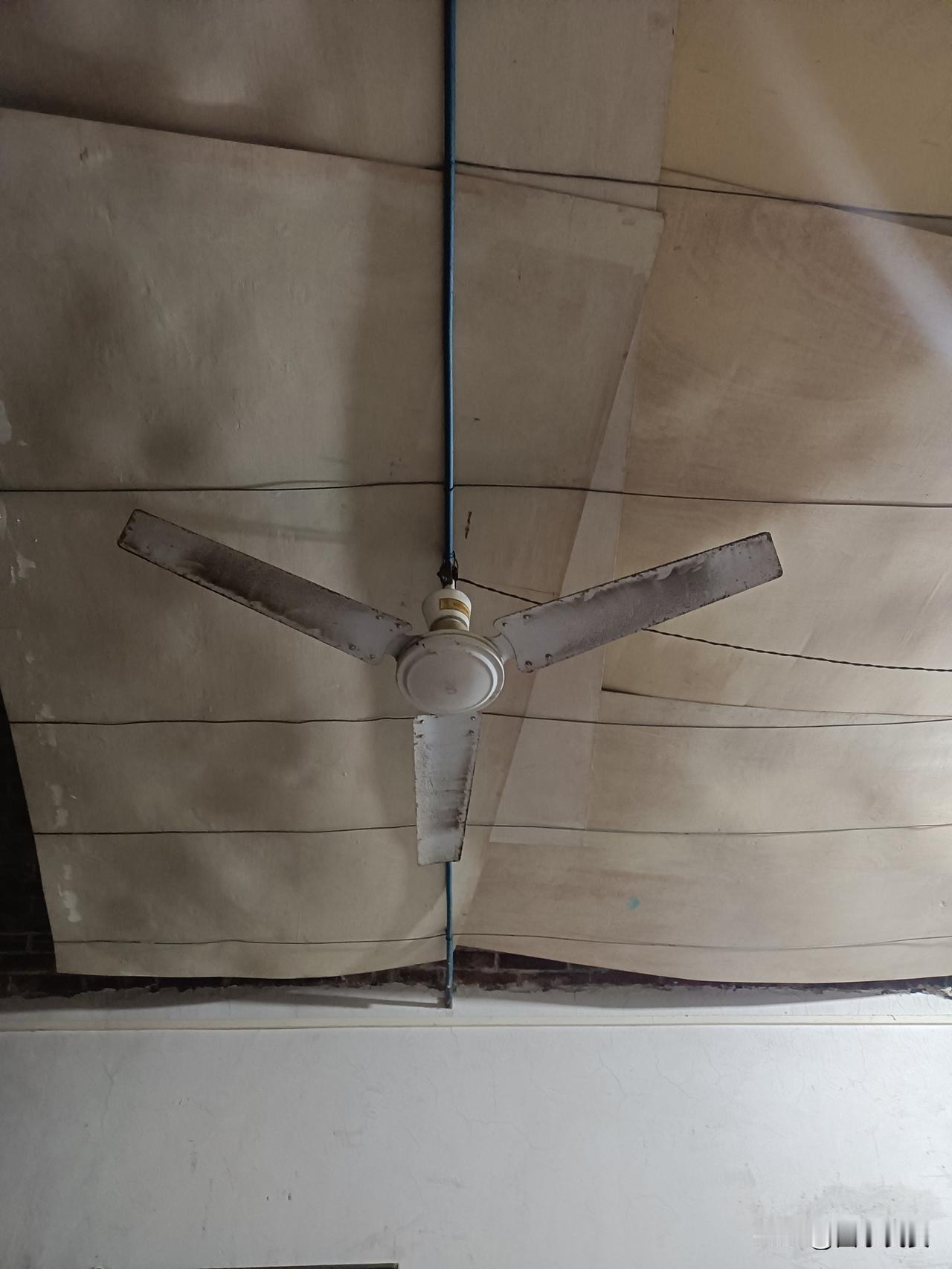 性格哪能直接定人生呀，但它真的影响挺大！你要是开朗大方，大概率能多交些朋友、抓着