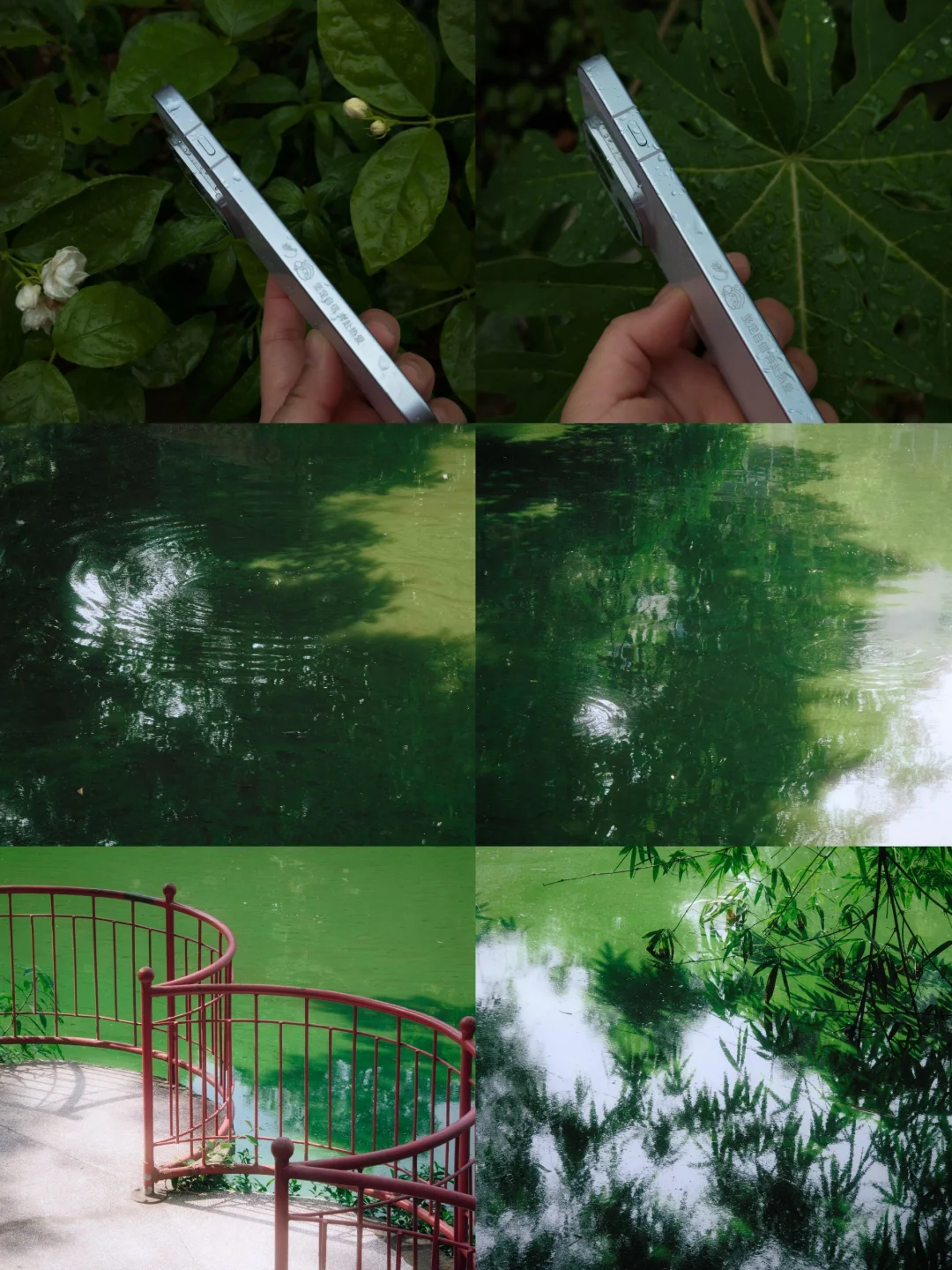 寻一处清幽绿溪，溪水清透，草木葱郁。带上OPPO Find X9s P...